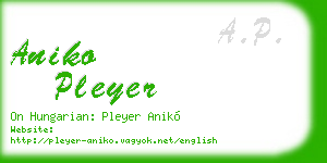 aniko pleyer business card